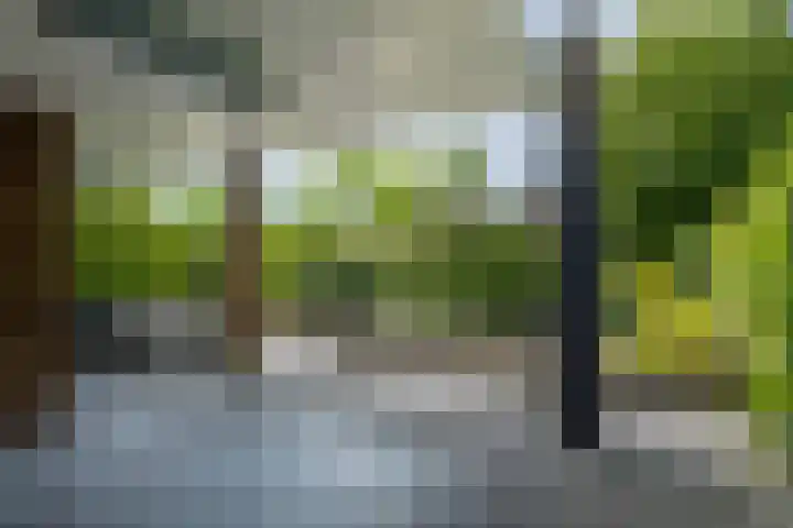 Irenestraat 32 Buitenpost thumbnail 84