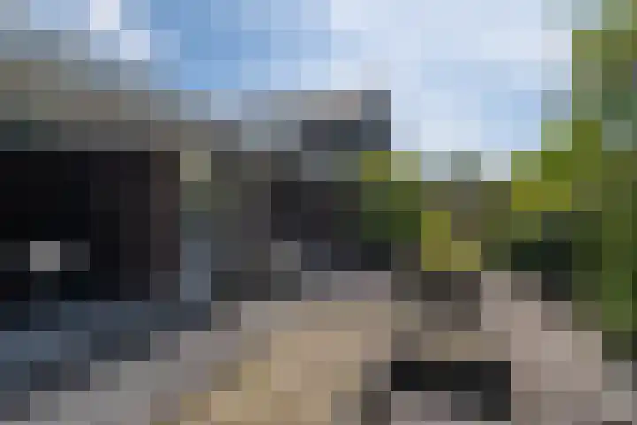 Irenestraat 32 Buitenpost thumbnail 88