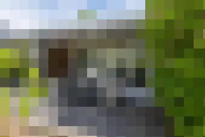 Irenestraat 32 Buitenpost thumbnail 91