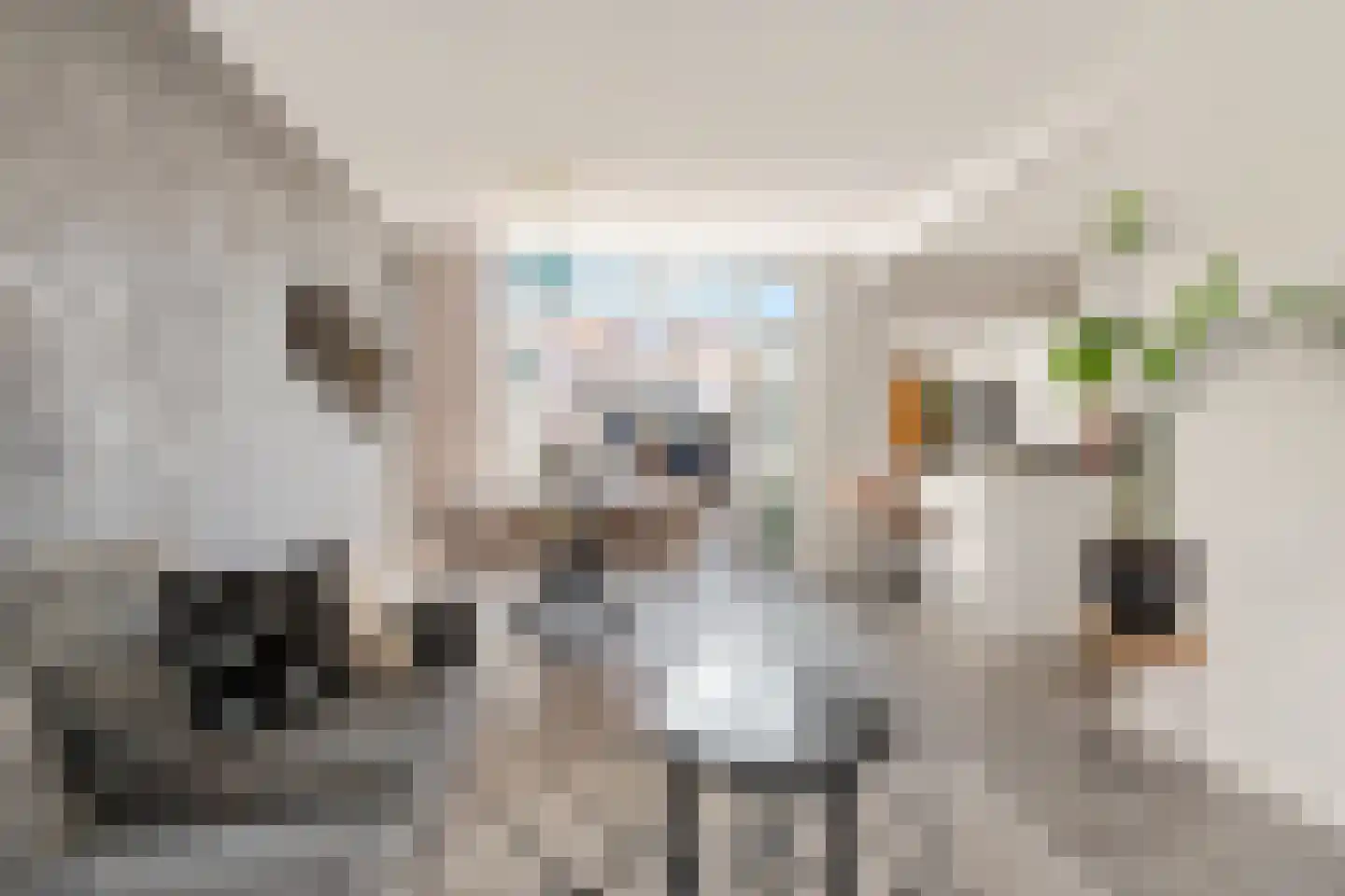 Irenestraat 32 Monnickendam thumbnail 11