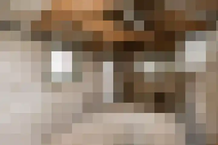 Irenestraat 37 Dalfsen thumbnail 32