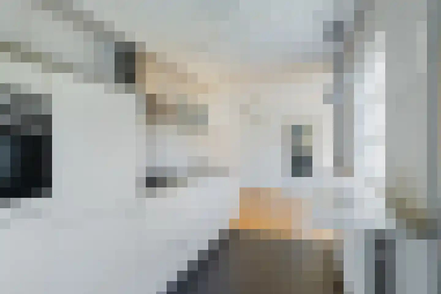 Irenestraat 38 Heinenoord thumbnail 17