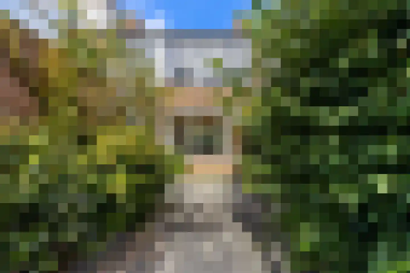 Irenestraat 38 Heinenoord thumbnail 29