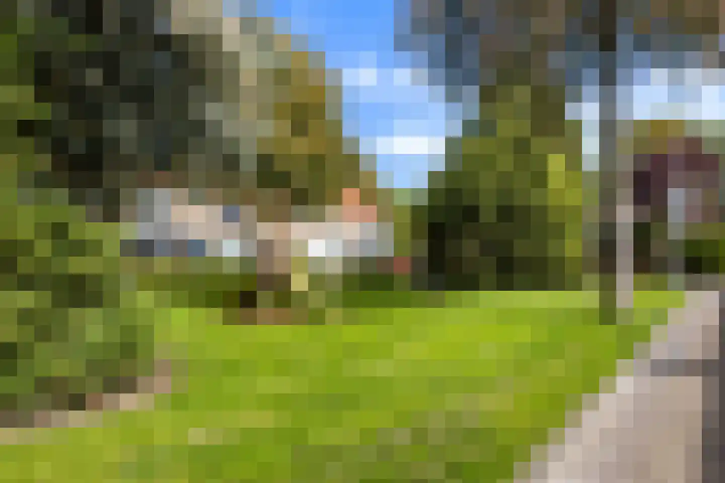 Irenestraat 38 Heinenoord thumbnail 34