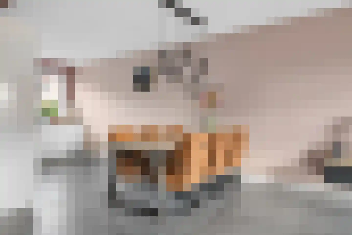 Irenestraat 39 Elst Ut thumbnail 10
