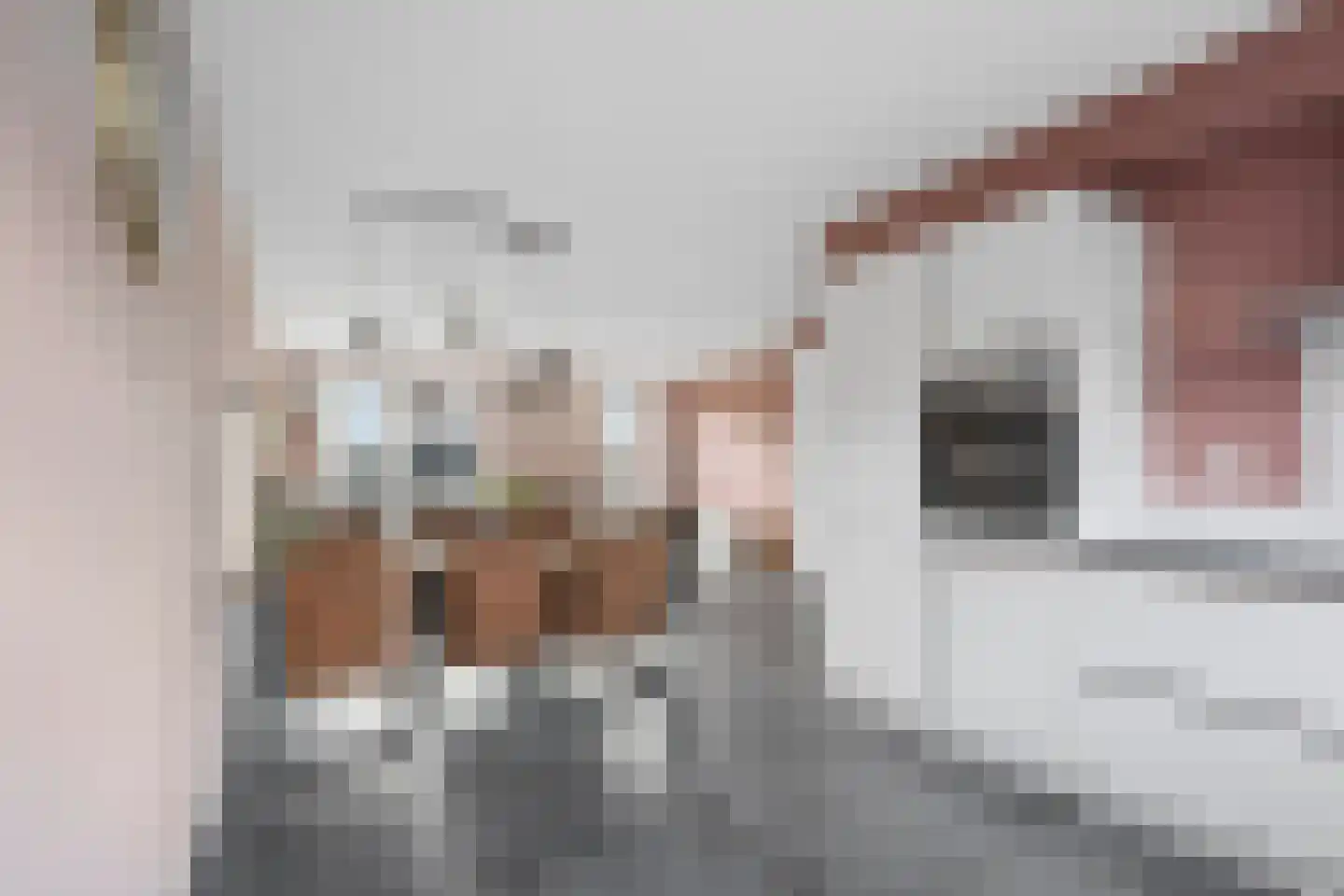 Irenestraat 39 Elst Ut thumbnail 11