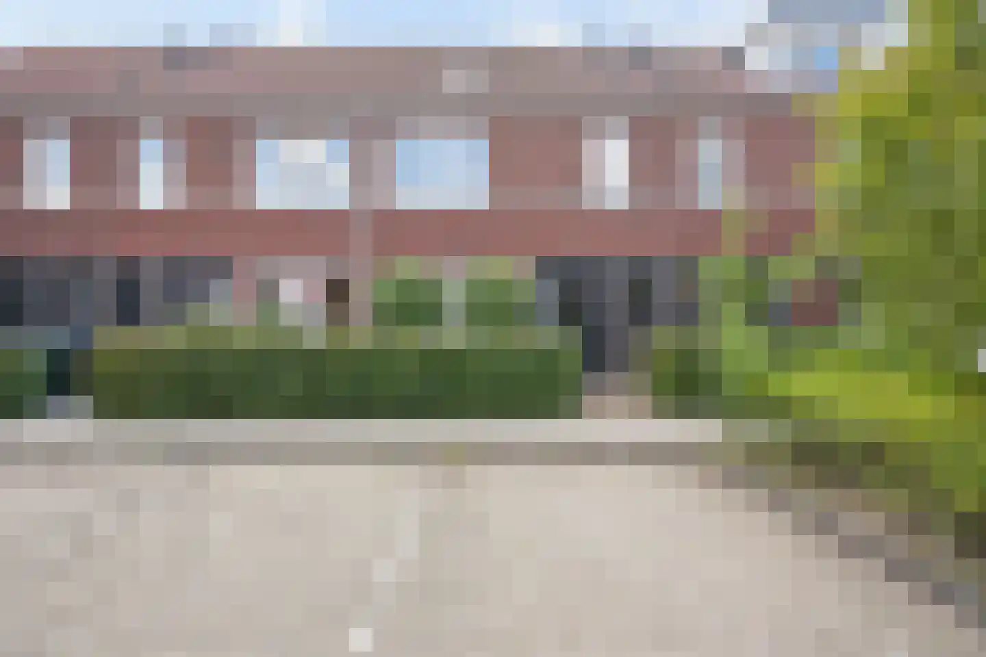 Irenestraat 39 Elst Ut foto 2