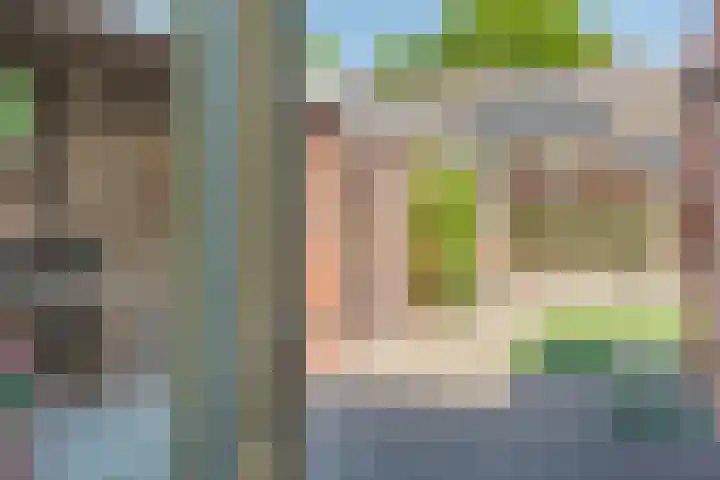 Irenestraat 4 Bakel thumbnail 18