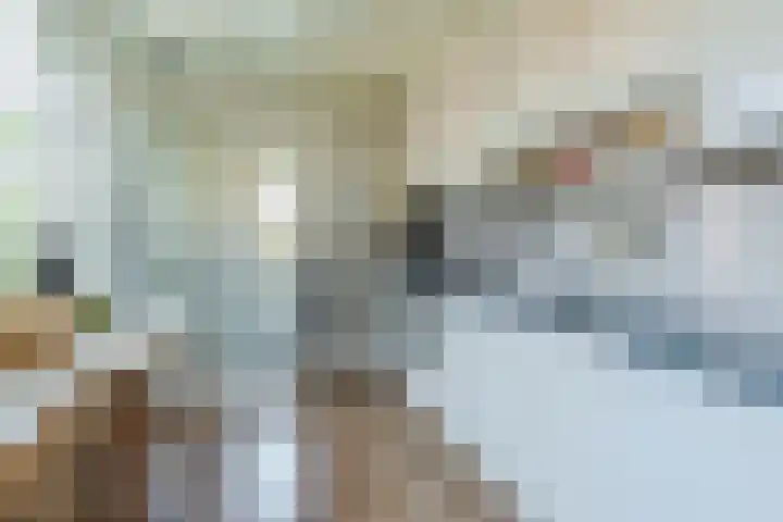 Irenestraat 4 Bakel thumbnail 20