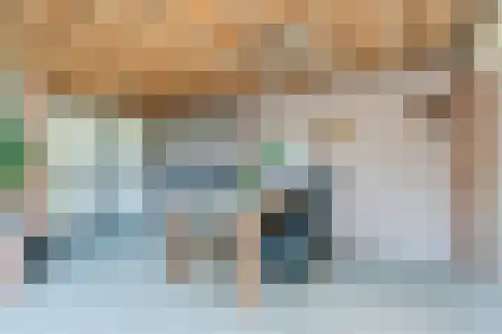 Irenestraat 4 Bakel thumbnail 34