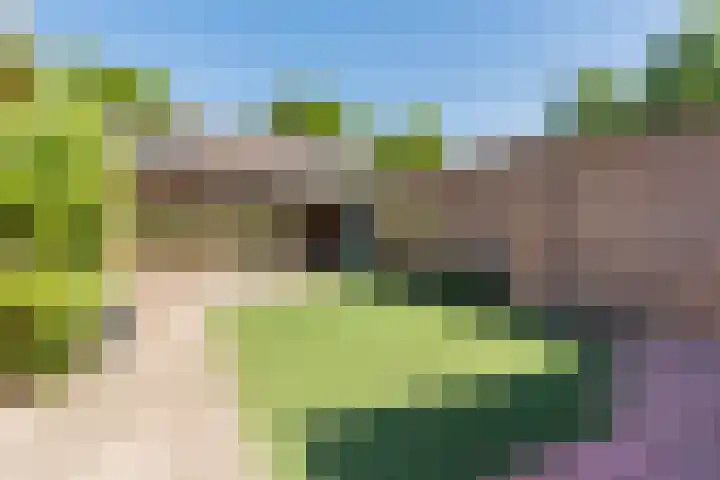 Irenestraat 4 Bakel thumbnail 38