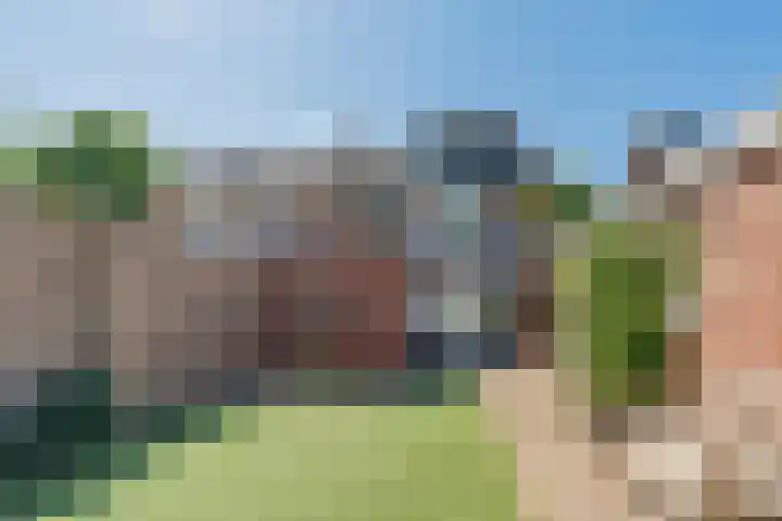 Irenestraat 4 Bakel thumbnail 39