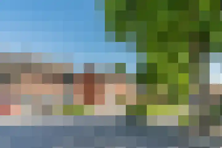 Irenestraat 4 Bakel thumbnail 4