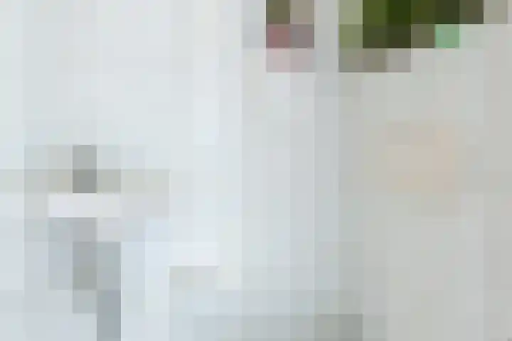 Irenestraat 4 Bakel thumbnail 8