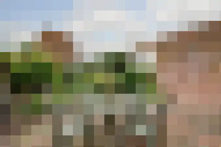 Irenestraat 4 Beuningen Gld thumbnail 28