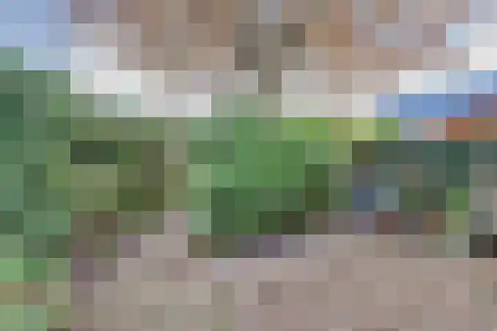 Irenestraat 4 Beuningen Gld thumbnail 30