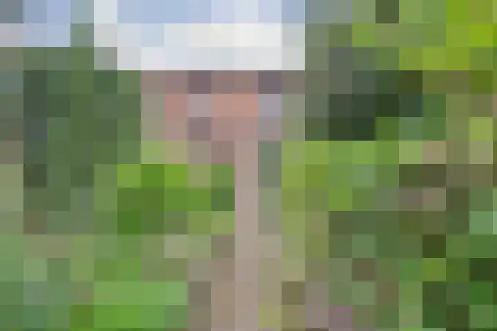 Irenestraat 4 Beuningen Gld thumbnail 4