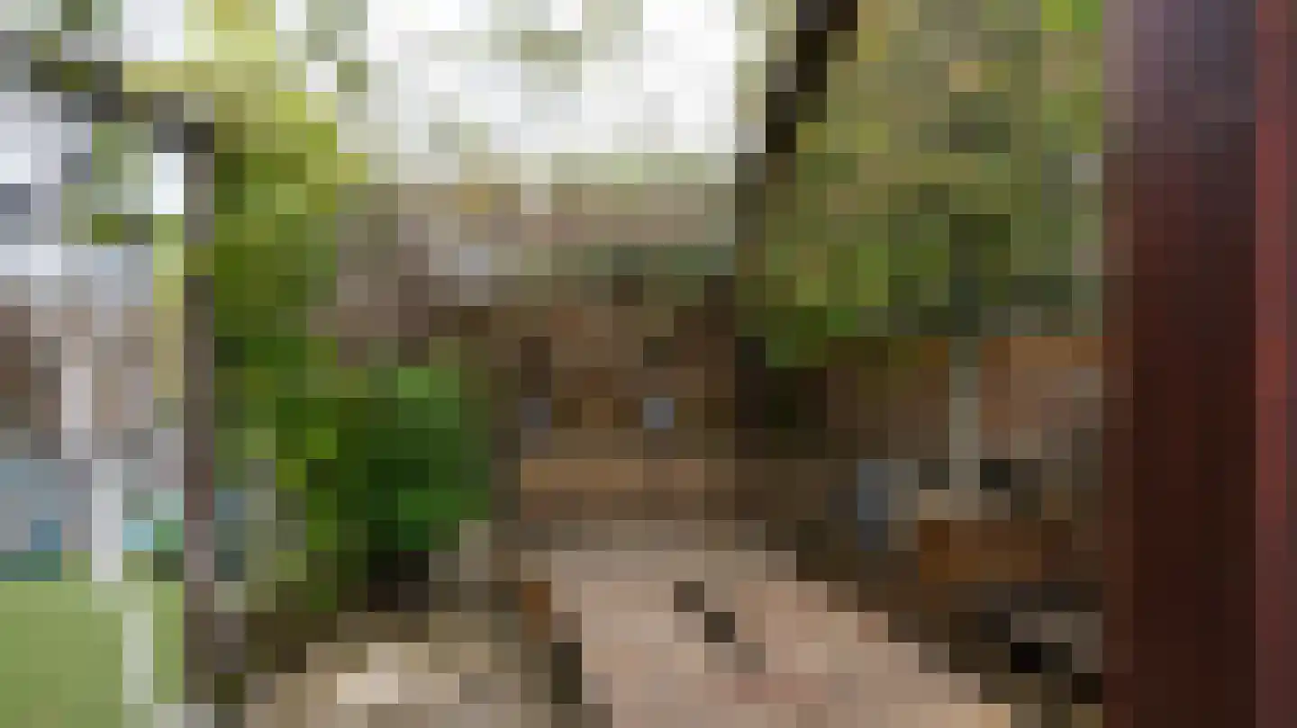 Irenestraat 4 Landgraaf thumbnail 25