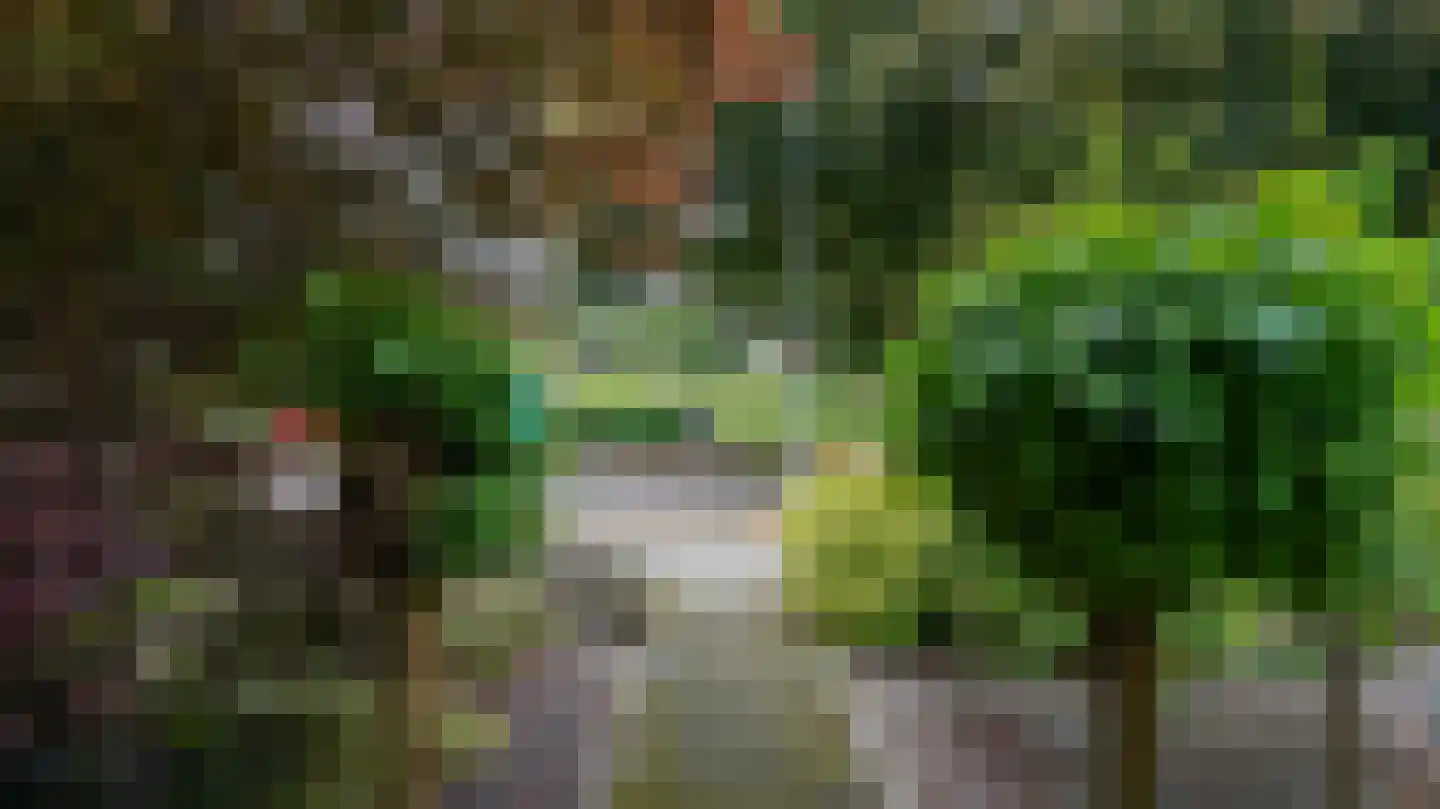 Irenestraat 4 Landgraaf thumbnail 29