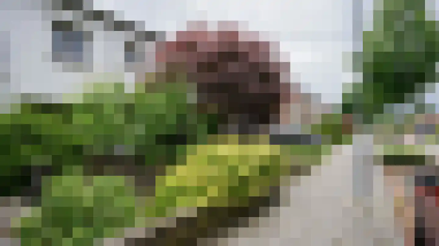 Irenestraat 4 Landgraaf thumbnail 30