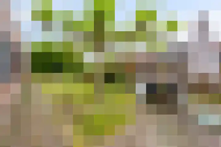 Irenestraat 4 Mill thumbnail 32