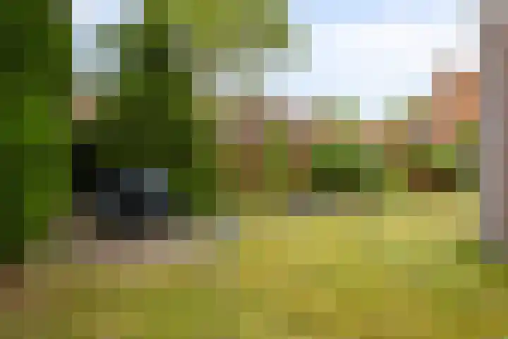 Irenestraat 4 Mill thumbnail 33