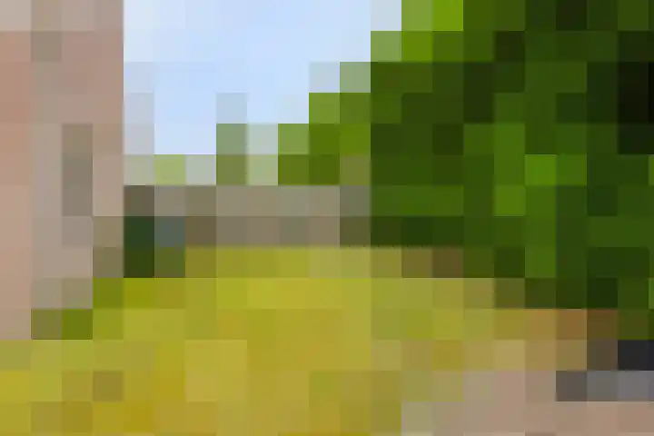 Irenestraat 4 Mill thumbnail 34
