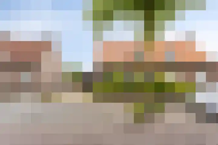 Irenestraat 4 Mill thumbnail 35