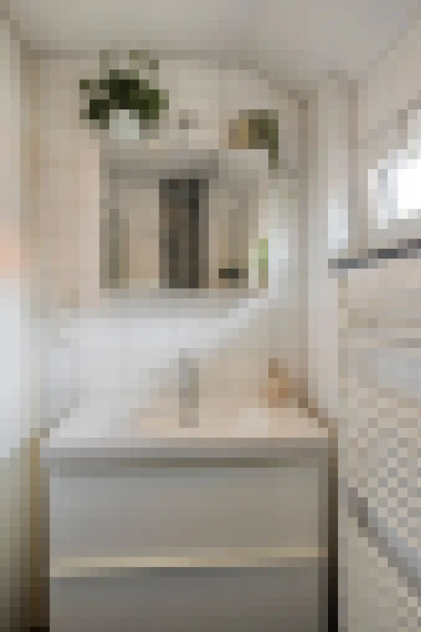 Irenestraat 4 Monnickendam thumbnail 26