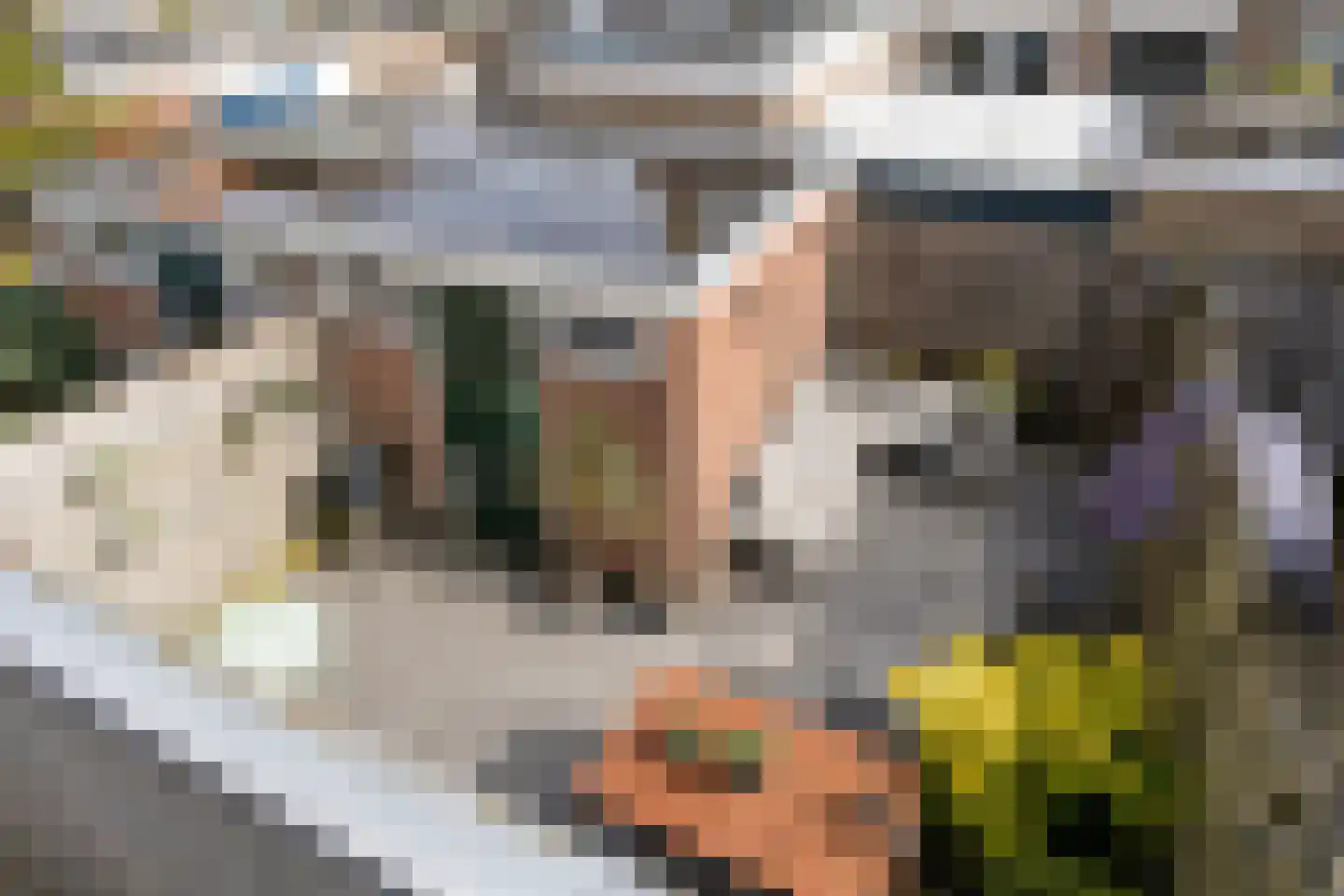 Irenestraat 4 Monnickendam thumbnail 5
