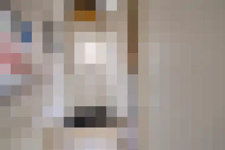 Irenestraat 4 Monnickendam thumbnail 9