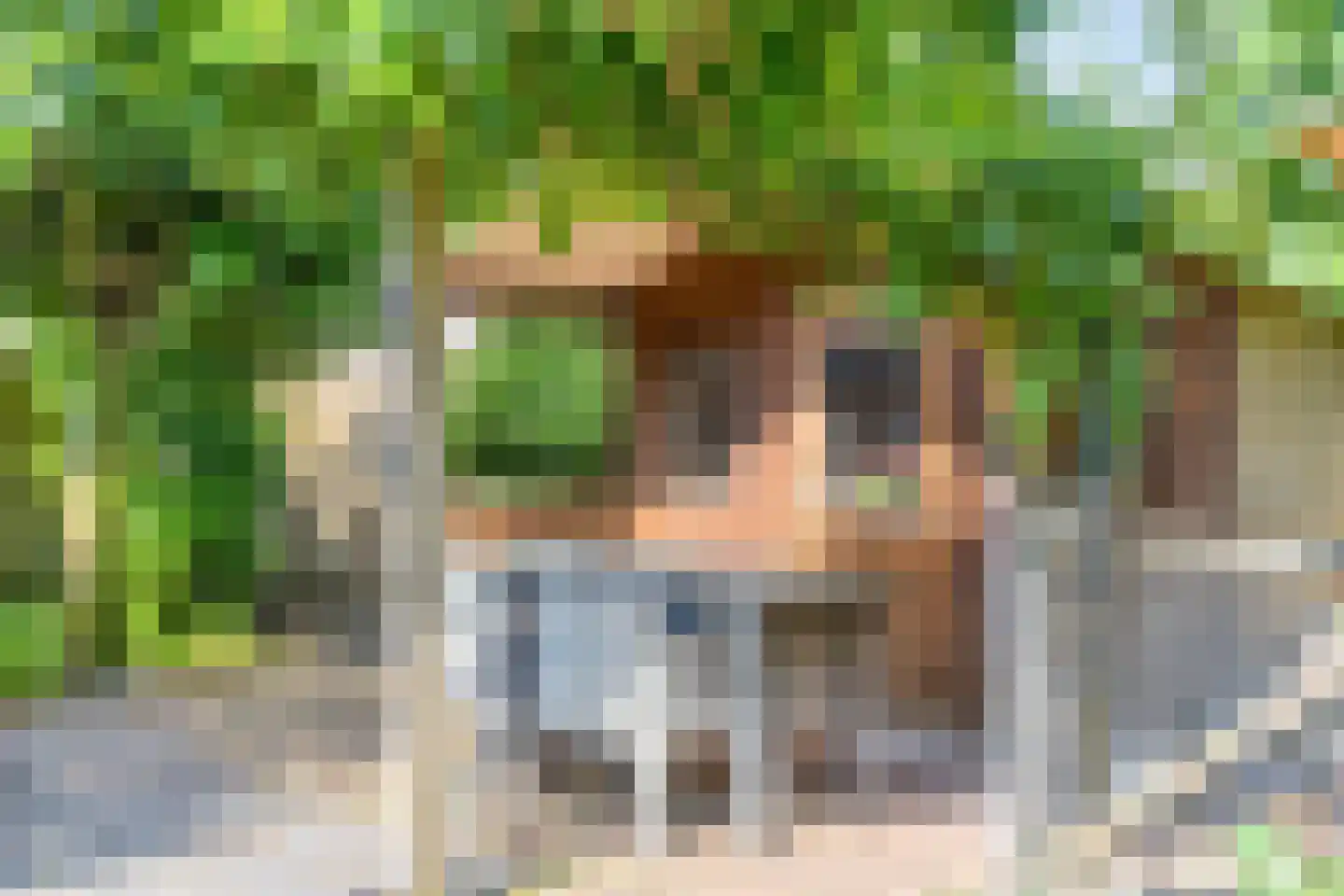 Irenestraat 4 Schaijk thumbnail 30