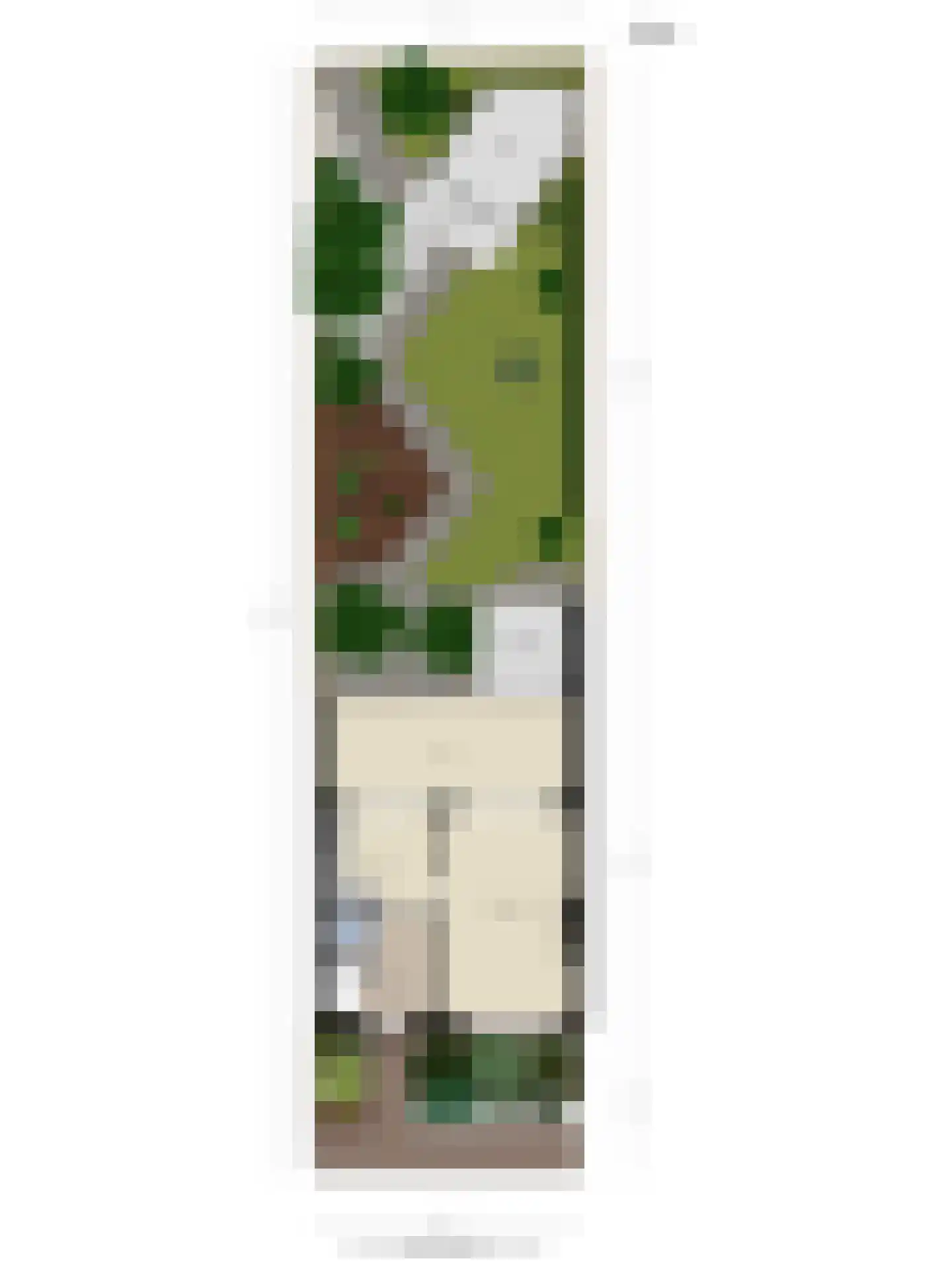Irenestraat 4 Schaijk thumbnail 36