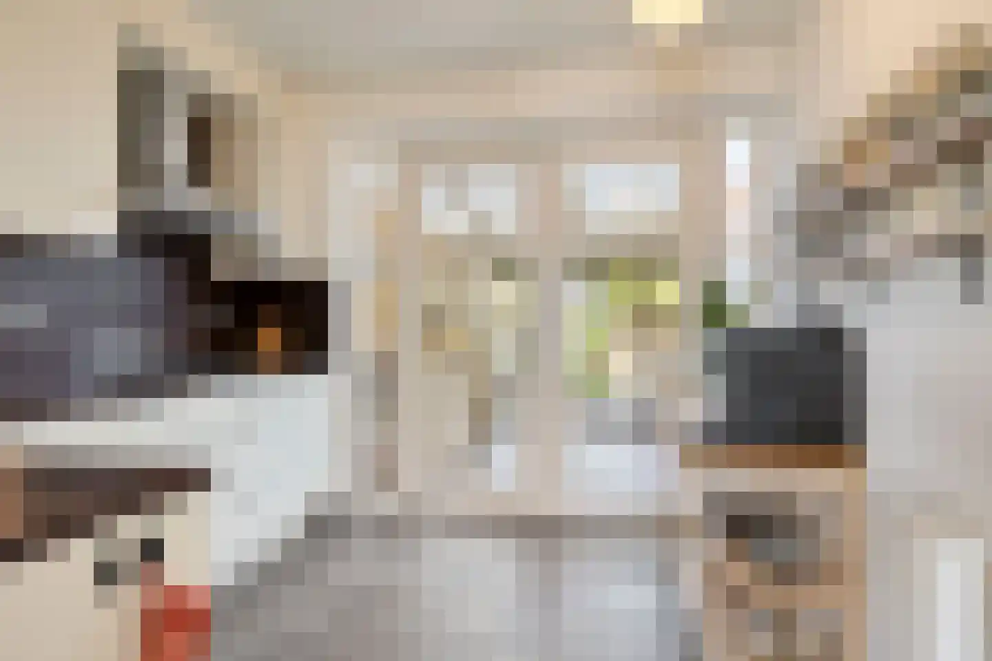 Irenestraat 4 Schaijk thumbnail 6