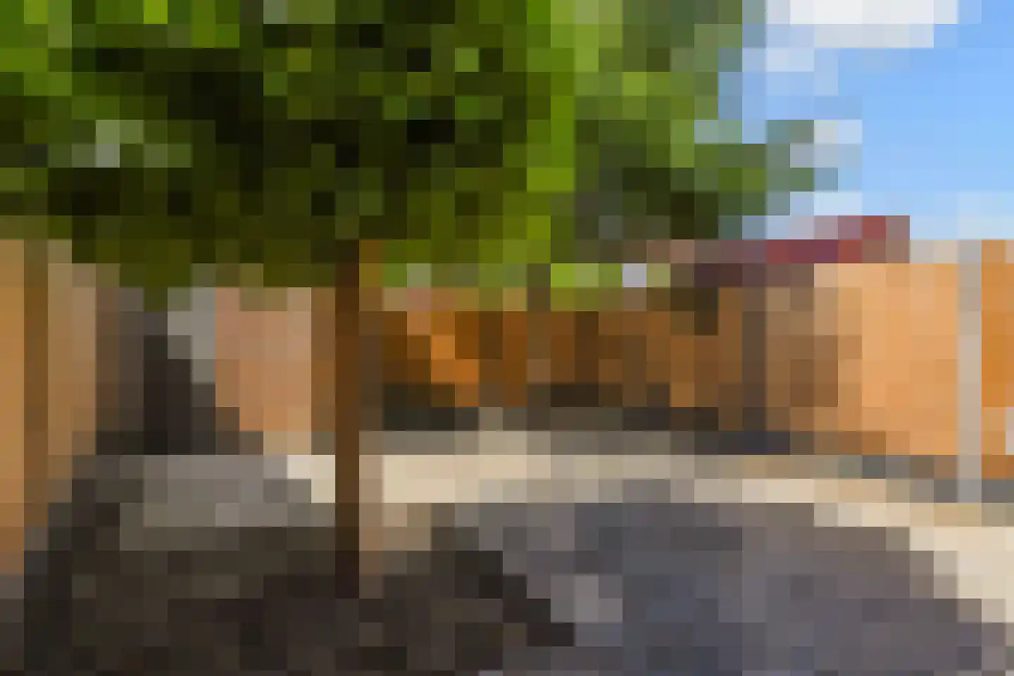 Irenestraat 4 Wateringen thumbnail 21