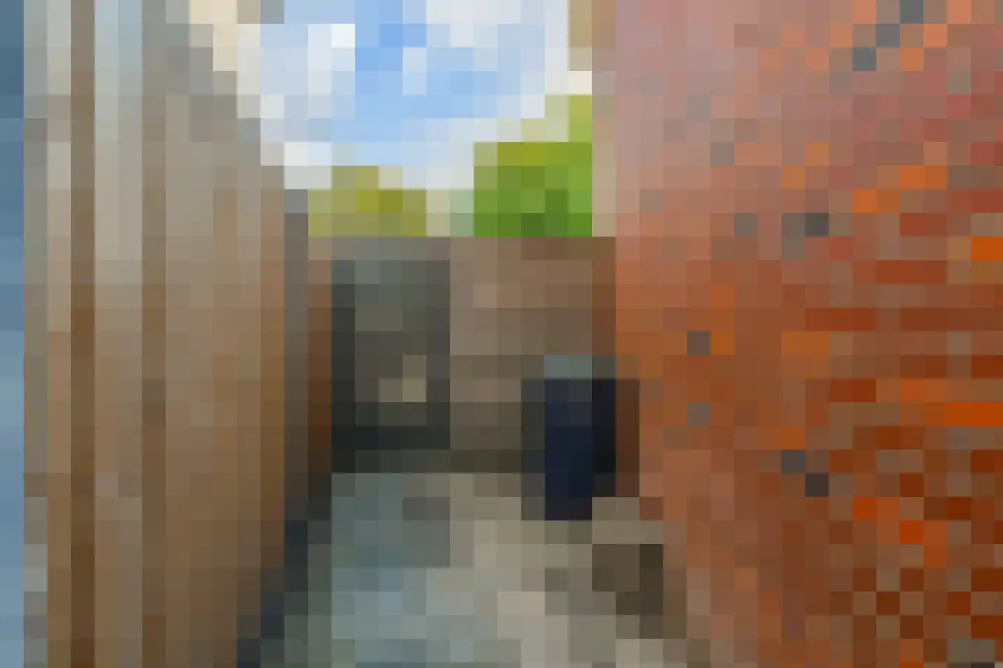 Irenestraat 4 Wateringen thumbnail 23