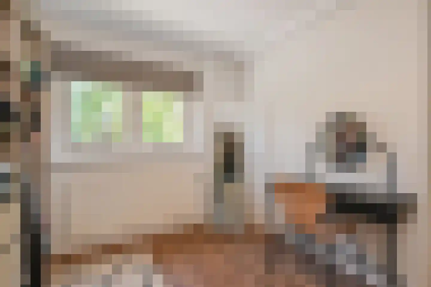 Irenestraat 4 Wateringen thumbnail 31