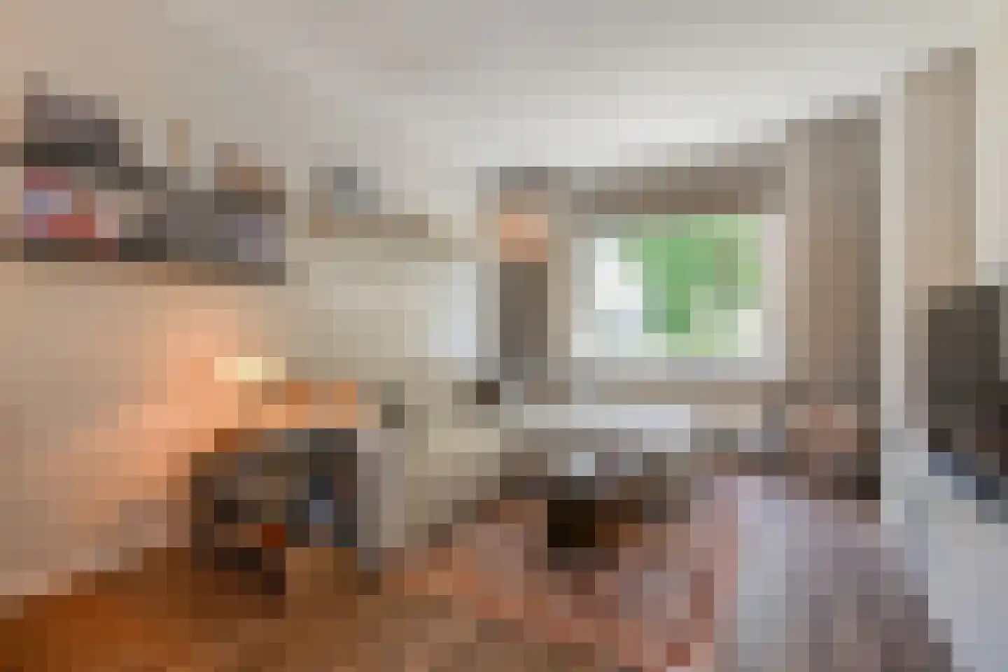 Irenestraat 4 Wateringen thumbnail 4