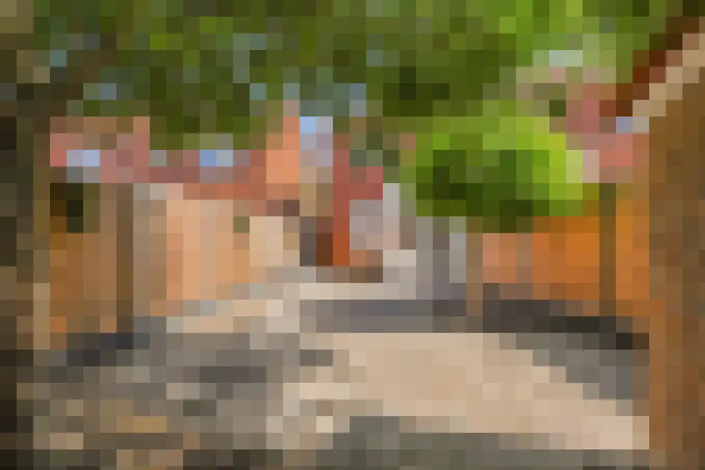 Irenestraat 4 Wateringen thumbnail 5