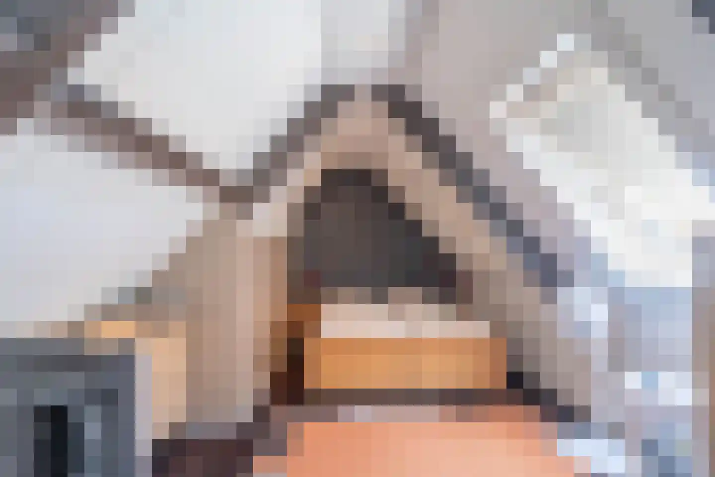 Irenestraat 4 Yerseke thumbnail 18