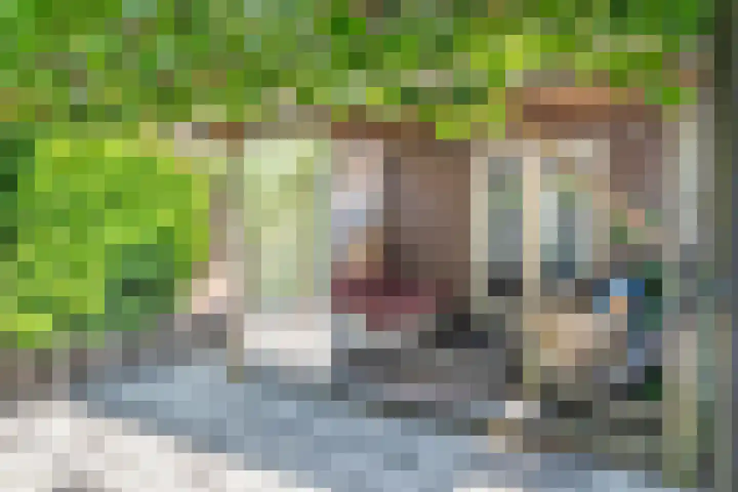 Irenestraat 4 Yerseke thumbnail 27