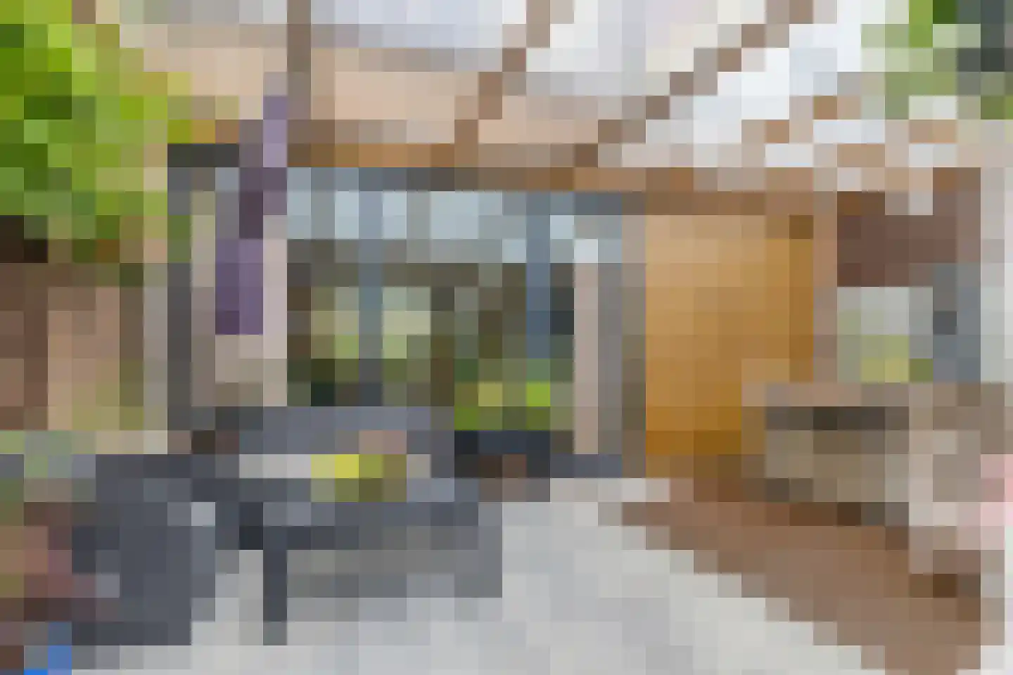 Irenestraat 40 Heinenoord thumbnail 16