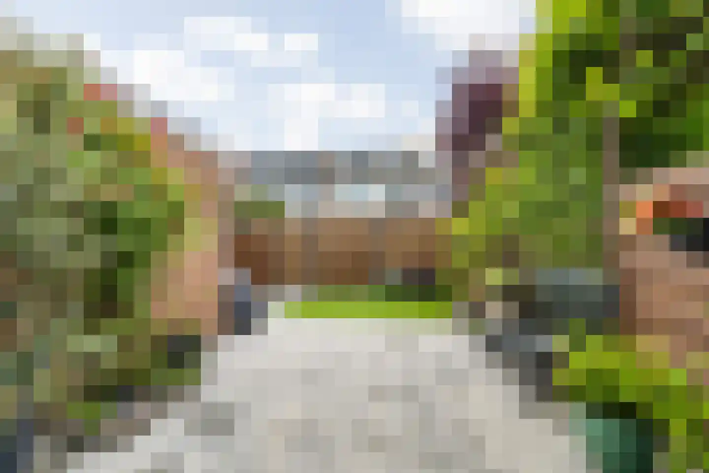 Irenestraat 40 Heinenoord thumbnail 17