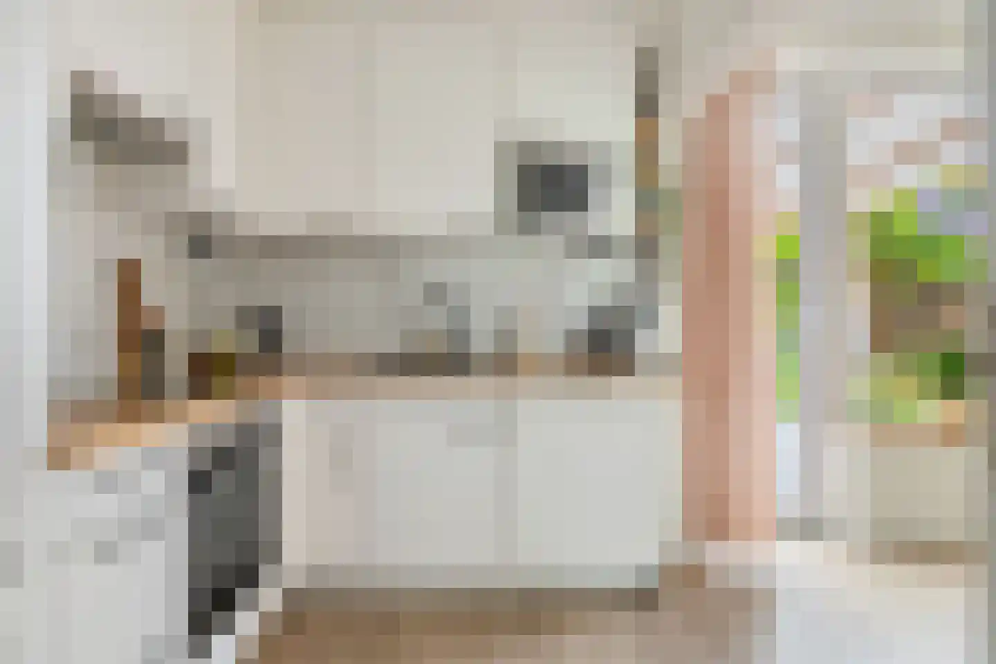 Irenestraat 40 Heinenoord thumbnail 5