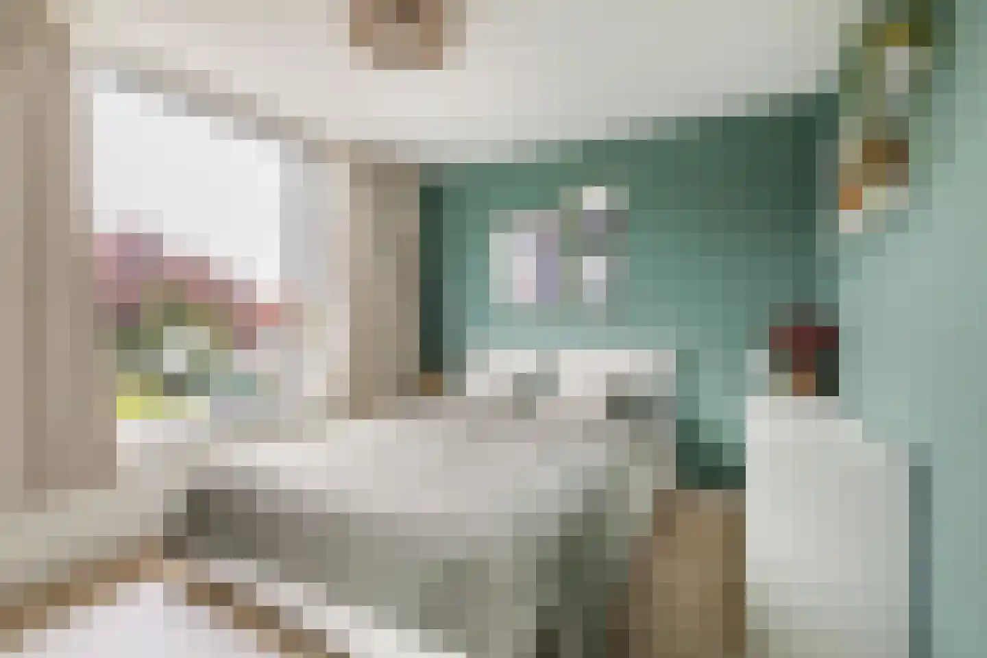 Irenestraat 40 Heinenoord thumbnail 9