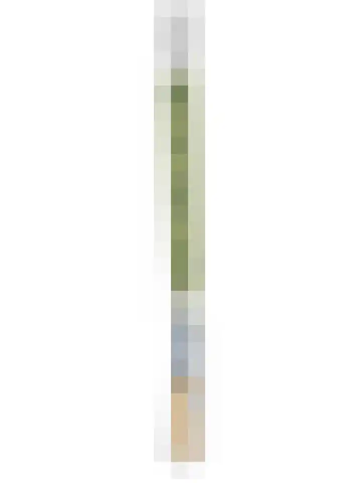 Irenestraat 42 Colijnsplaat thumbnail 32