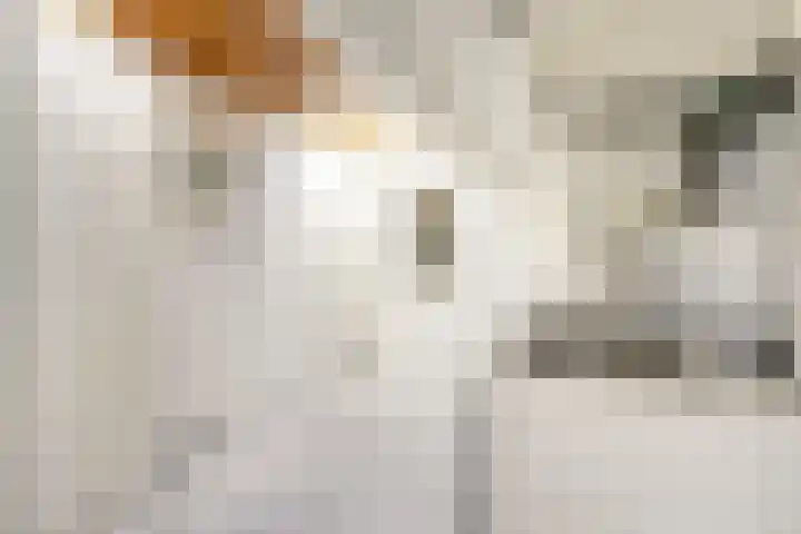 Irenestraat 42 Colijnsplaat thumbnail 9