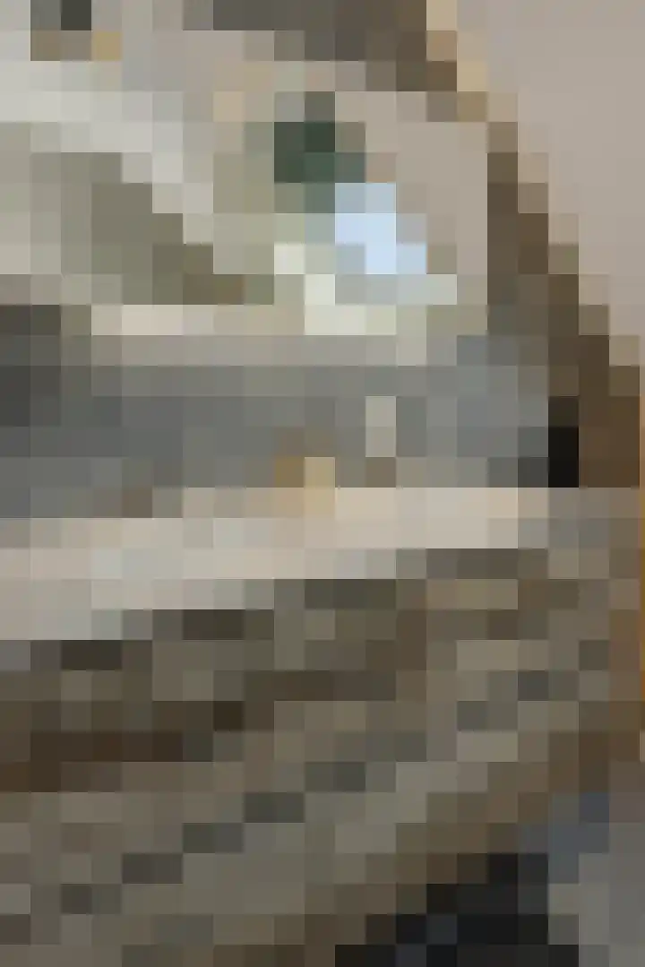 Irenestraat 42 Deurne thumbnail 25