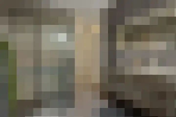 Irenestraat 42 Deurne thumbnail 4