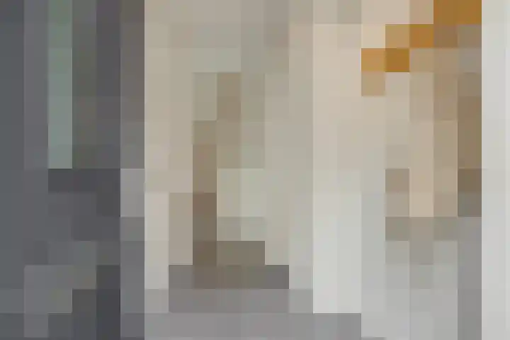 Irenestraat 42 Deurne thumbnail 7